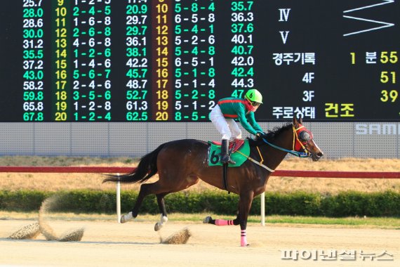 [경마] 라온퍼스트-골든파워 17일격돌…KNN배