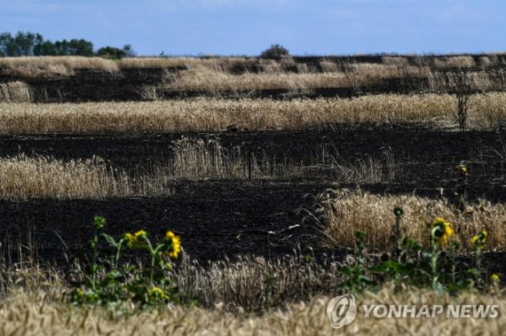 러시아 공습으로 불탄 우크라이나 밀밭 A photograph taken on July 13, 2022 shows a wheat field burnt after alleged Russian military air strikes in eastern Ukraine. (Photo by MIGUEL MEDINA / AFP)