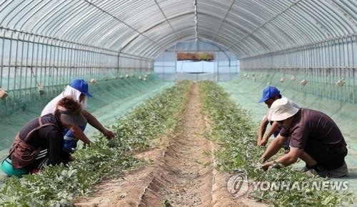 농업 외국인근로자 1230명 추가 '농촌 일손부족 숨통'