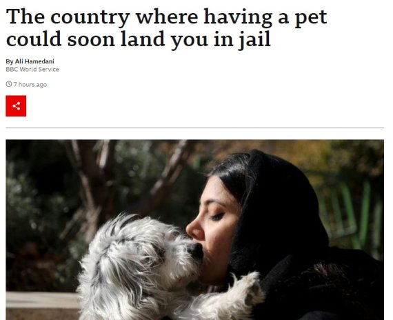 "강아지 키우면 감옥" 반려동물 금지인 나라, 어디?