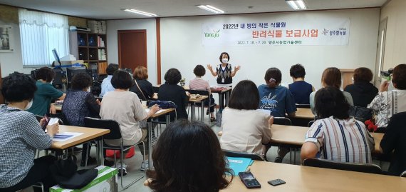 양주시 내 방의 작은 식물원 '반려식물' 보급사업 *재판매 및 DB 금지