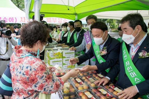 전북 군산시청 광장에서 경북 김천지역 우수농특산물 직거래장터가 열렸다.© 뉴스1