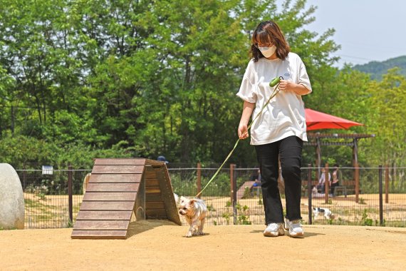인천대공원 놀이터에서 산책을 즐기는 강아지