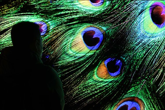 지난 1월 미국 네바다주 라스베이거스 컨벤션센터에서 열린 CES 2022의 삼성전자 부스에 전시된 마이크로 LED TV. 2022.1.5/뉴스1 © News1 조태형 기자