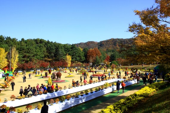 2017년 ‘제10회 청남대 가을 국화축제’(충북도 제공) 2018.10.15/뉴스1© News1