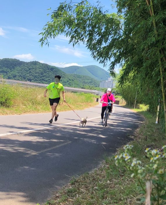 울산 태화강 자전거길은 산책로와 자전거길이 가깝게 붙어 있어 안전사고의 위험성이 크다. 견주와 함께 달리던 반려견이 자전거도로를 침범해 달리자 뒤따르던 자전거가 비켜서 추월하려 하고 있다. /사진=fnDB