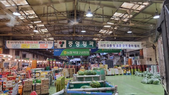 대구 북구 매천동 농수산물도매시장 내부 모습. 2022.7.25/뉴스1 © News1 이성덕 기자