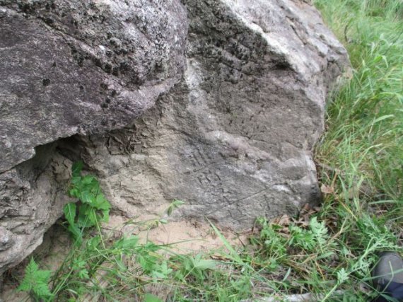 27일 산림청 춘천국유림관리소(소장 원동복)는 국가 산림문화자산인 화천군 동촌리의 황장금표를 활용하여 산림의 문화적·역사적 가치를 확산하기 위한 명소화 사업을 추진한다고 밝혔다. 사진=춘천국유림관리소 제공