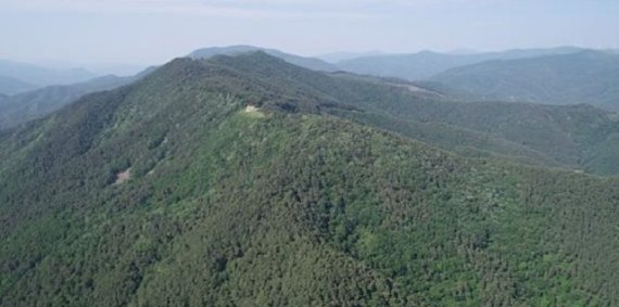 평창군, 산림수도 평창 10개년 계획 수립...연구용역 최종보고회 개최