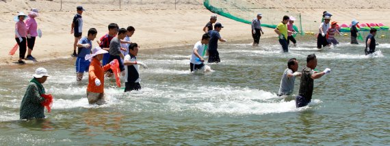 [함평=뉴시스] 함평 돌머리해수욕장 뱀장어잡기 체험행사. (사진=함평군 제공) photo@newsis.com *재판매 및 DB 금지