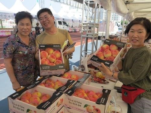 2019년 향수옥천 포도·복숭아축제 모습.(옥천군 제공)ⓒ 뉴스1