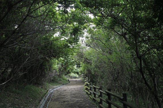 [서울=뉴시스] (영광) 상낙월도 재계미해변 위쪽 둘레길-박상준 촬영. (사진=한국관광공사 제공) 2022.07.29. photo@newsis.com *재판매 및 DB 금지