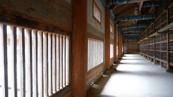 800년 만에 국민에게 공개된 해인사 팔만대장경ⓒ 뉴스1 윤슬빈 기자