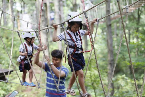 보성 제암산자연휴양림이 에코어드벤처, 짚라인, 썰매 등 다양한 액티비티를 즐길 수 있다(보성군 제공)2022.7.30/ⓒ 뉴스1