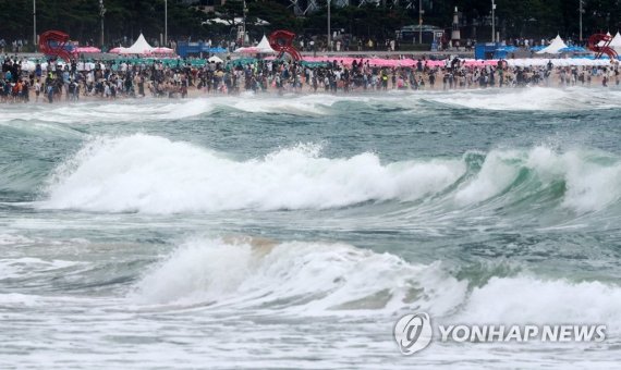 내일까지 장대비 쏟아져요..태풍 '송다' 이어 '트라세' 한반도로