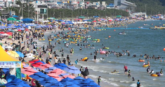 주말을 맞은 충남 보령 대천해수욕장을 찾은 관광객들이 즐거운 시간을 보내고 있다. 2022.7.16/뉴스1 ⓒ News1 김기태 기자