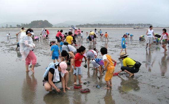 전북 고창 갯벌축제 자료사진. 고창군 제공