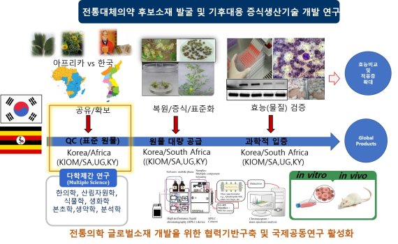 전통대체의약 후보소재 발굴 개발연구. 한의학연구원 제공