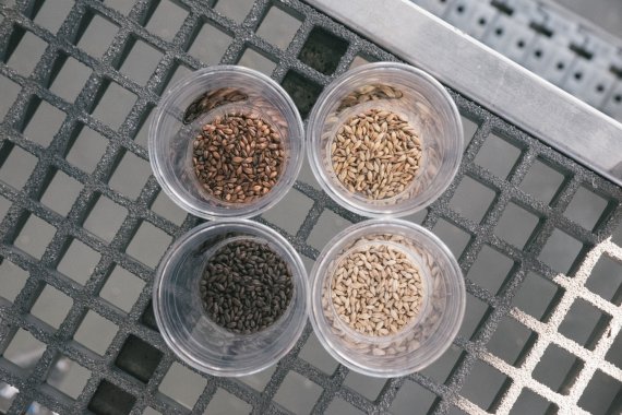 양조장 안에서 양조설비 사이를 직접 거닐며 생생한 관찰과 질문을 할 수 있다(맥파이 브루잉 컴퍼니 제공)ⓒ 뉴스1