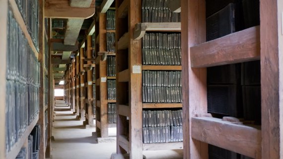 교과서에서 볼 수 있었던 팔만대장경ⓒ 뉴스1