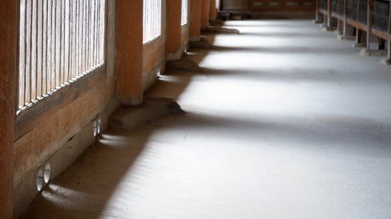 바닥은 언뜻 맨흙으로 이루어져 있는 것 같아 보이지만 습도 조절을 하는 조상의 지혜가 담겨 있다ⓒ 뉴스1