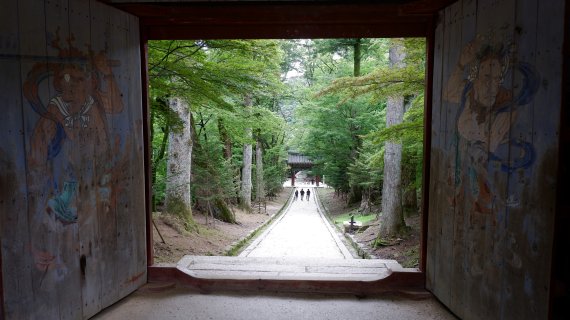 한 여름 낮의 해인사 풍경ⓒ 뉴스1