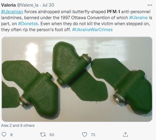 우크라이나 전쟁에서 사용되고 있는 것으로 추정되는 '나비지뢰'의 모습. 2022.08.08/뉴스1ⓒ 뉴스1(트위터 갈무리)