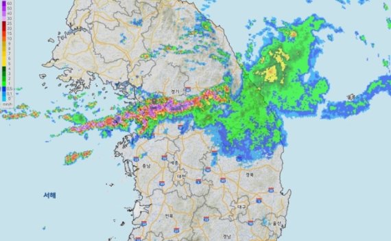 [80년만의 폭우]일부러 쏟아부었다..기상레이더엔 수도권 동서로 긴 비구름