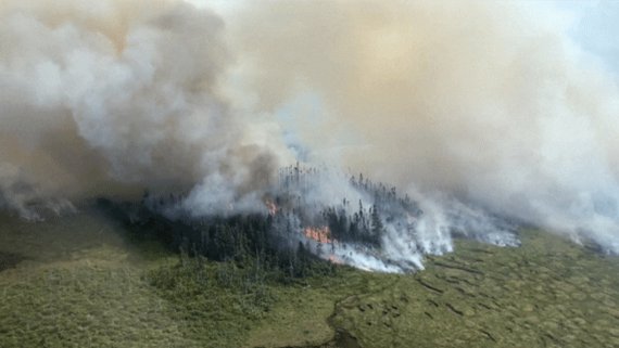 [서울=뉴시스]캐나다 동부 뉴펀들랜드·래브라도주에서 5반세기만에 최악의 산불이 발생한 모습. 주 당국이 비상사태를 선포했다. <사진 출처: 미 CBS 동영상 화면 캡쳐> 2022.08.09. *출고 및 재판매 금지