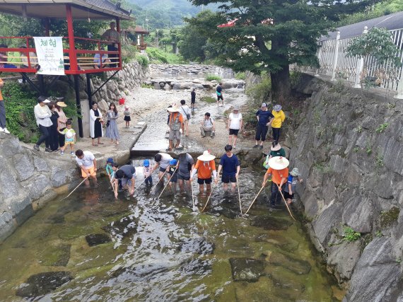 지난해 '개미진 여름여행'에 참여한 어린이들이 물고기 잡기 체험을 하고 있다(곡성군 제공)2022.8.10/ⓒ 뉴스1