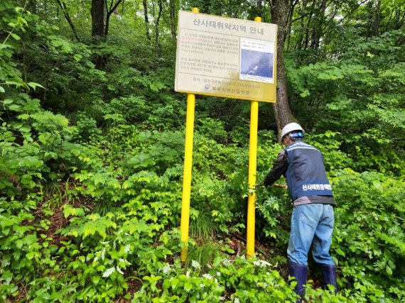 산림청 관계자가 산사태취약지역을 점검하고 있다.