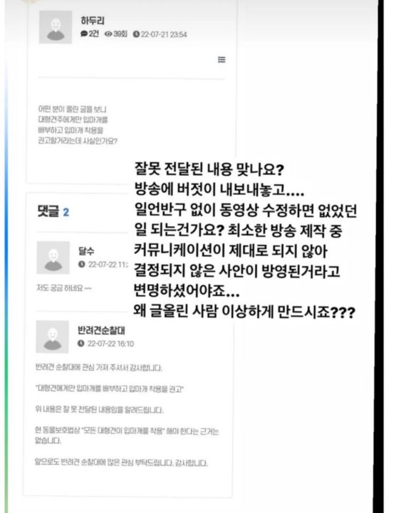 '동네 지킴이' 반려견 순찰대..대형견에 입마개 지급 논란