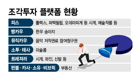 조각투자 플랫폼 현황 /그래픽=정기현 기자