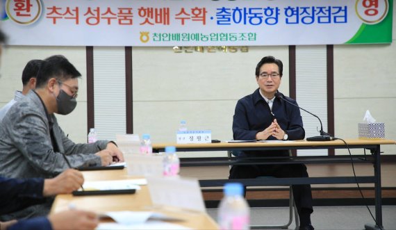 정황근 장관, 천안서 배 수급상황 점검 (서울=연합뉴스) 정황근 농림축산식품부 장관이 14일 오후 충남 천안시에 있는 농산물 유통센터를 방문해 배 수급 상황을 점검하고 있다. 2022.8.14 [농림축산식품부 제공. 재판매 및 DB 금지] photo@yna.co.kr (끝)