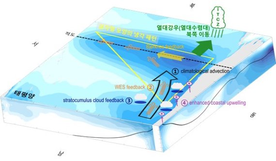 [남극 앞바다-열대 태평양 원격상관 메커니즘 도식] 남극 앞바다의 냉각은 ‘중위도 대기 에너지 수송’과 ‘해양 에너지 수송’에 의해 아열대 지역으로 전파된다. - 아열대 지역의 냉각은 ①남동풍 기후 값에 의해 남아메리카 대륙 서안을 따라 적도 쪽으로 전파된다. (Climatological advection). - 남동태평양의 냉각은 ②바람-증발-수온 피드백(WES feedback), ③아열대 구름 피드백(subtropical cloud feedback), ④해안용승(enhanced coastal upwelling)에 의해 더 증폭되