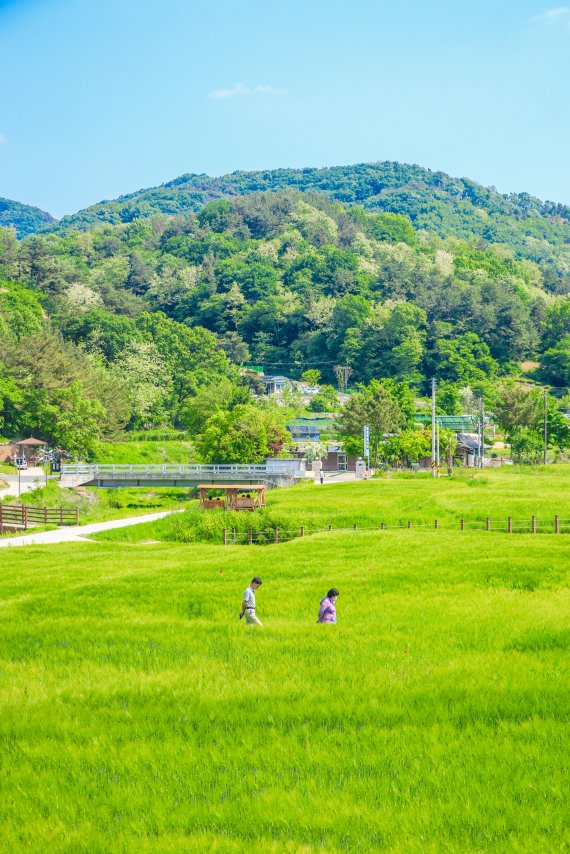 대전 대덕구가 올 상반기 사진 공모전에서 최우수상으로 선정한 '장동 만남공원'.(대전 대덕구 제공)