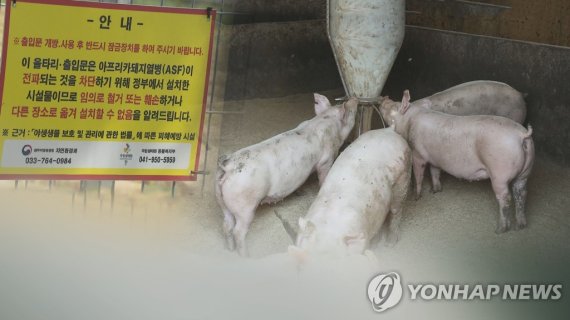 한총리 "강원 아프리카돼지열병, 이동중지명령 발령"