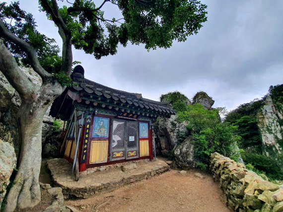 도솔암과 팽나무. 팽나무 고목과 암자가 서로 기대어 고독을 달래는 풍경 ⓒ 뉴스1