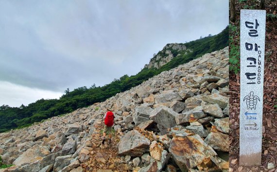 달마고도 4구간의 너덜길. 산 꼭대기 거대한 바위들이 얼고 녹고, 부서지고 쪼개져 흘러내린 파편들. 물처럼 흘러가는 돌이다. 오른쪽은 달마고도 표지판 ⓒ 뉴스1