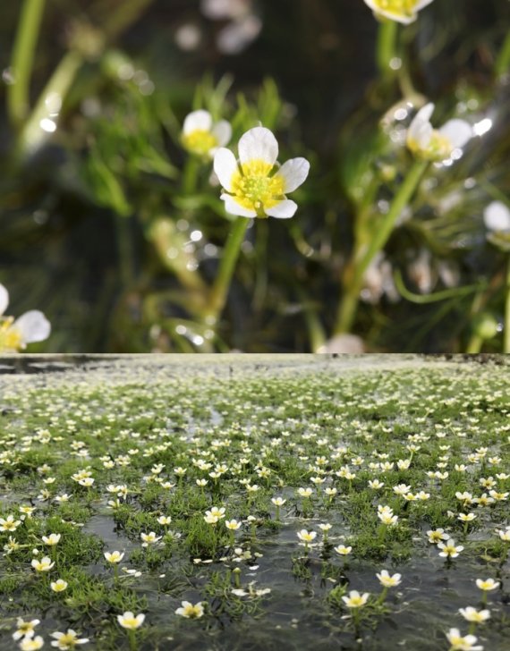 [단독]“보전 위해 땅 샀는데 세금 폭탄”...국민이 세운 신탁단체 세금차별 없앤다