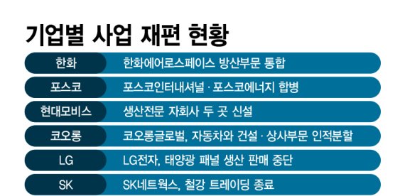 기업별 사업 재편 현황 /그래픽=정기현 기자