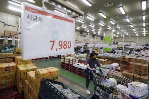 추석 앞둔 장바구니 물가 '고공행진', 오이 가격이 무려