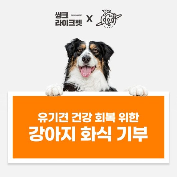 씽크라이크펫, 유기견 위해 강아지 화식 1000팩 기부