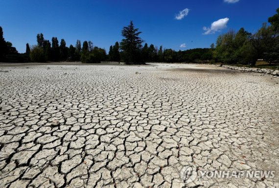 지난 16일 역사적 가뭄이 강타한 프랑스 투르투르(Tourtour) 지역에서 연못이 마르고 땅이 갈라져 있다. 로이터 연합뉴스