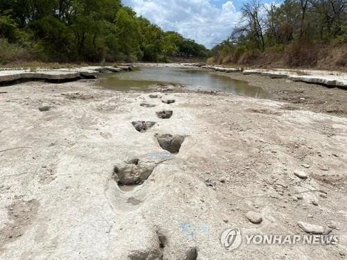 가뭄에 강물 마르자..1억년 전 공룡 발자국이, 600년전 석불이 드러났다