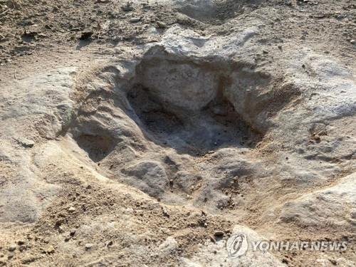 가뭄에 드러난 1억년 전 공룡발자국, 사진을 보니 '우와~'