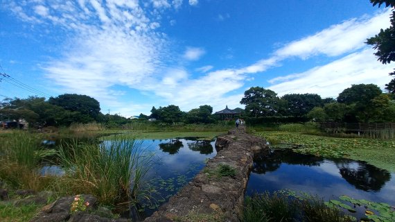 유산마을 덕천리 모산이연못. 2022.0824. 박주연 기자 photo@newsis.oom *재판매 및 DB 금지