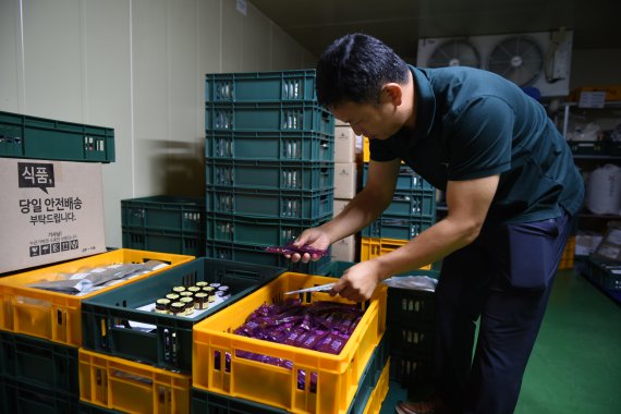김주호 영농조합법인 엔자임팜 대표가 공장 냉동보관실에서 제품을 선별하고 있다.2022.8.27/뉴스1 ⓒ News1 김동수 기자