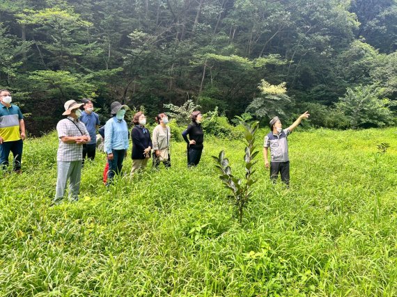 29일 전북 진안군산림조합이 국립한국농수산대학교 교육생들을 대상으로 선도산림경영단지 현장견학을 진행하고 있다.(진안군산림조합제공)2022.8.29/뉴스1