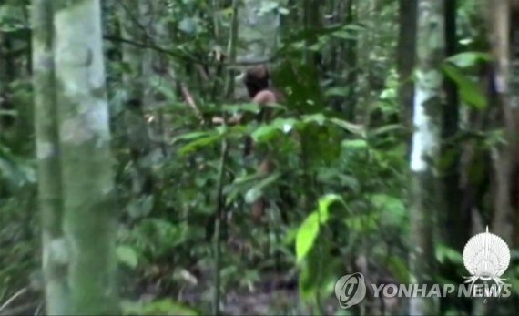 2018년 관측된 '세계에서 가장 외로운' 원주민 Grab taken from a file video taken on March 11, 2011, and released on July 18, 2018, by Brazil's National Indian Foundation (FUNAI) showing a tribesman in a loincloth, believed to be the last known survivor of an isolated Amazonian community in Brazil and who is known as 